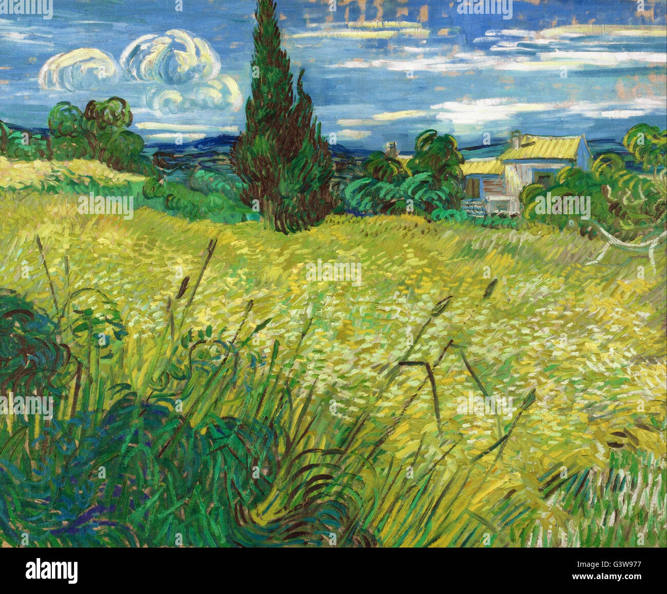Vincent van Gogh - Green Field Stock Photo
