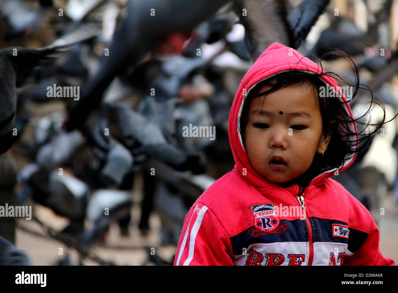 A child enters into flock of piegons and suddenly gets afraid. Stock Photo