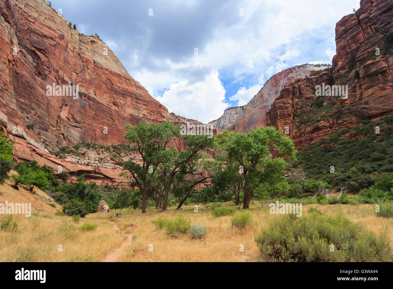 Canyon in Zion National Park in Utah Stock Photo