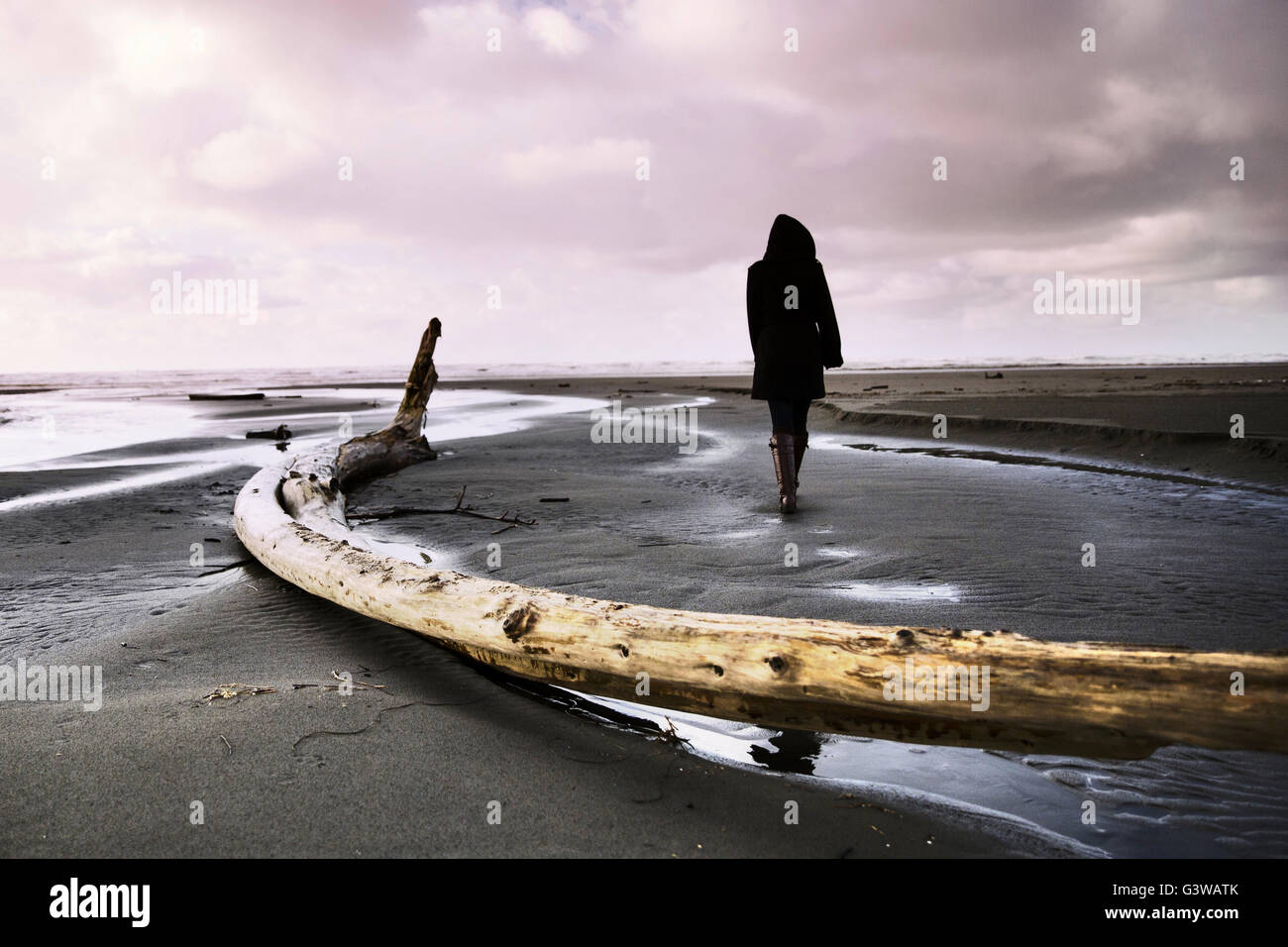 Shadowy figure walking alongside driftwood on the Pacific coast. Stock Photo