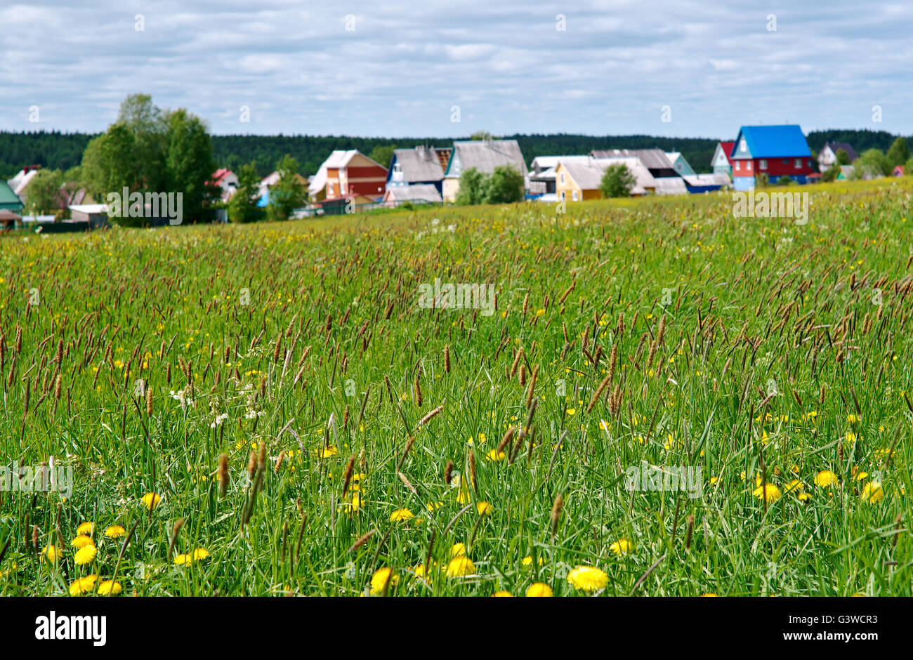 North Russian village.Arkhangelsk region .Russian North. Stock Photo