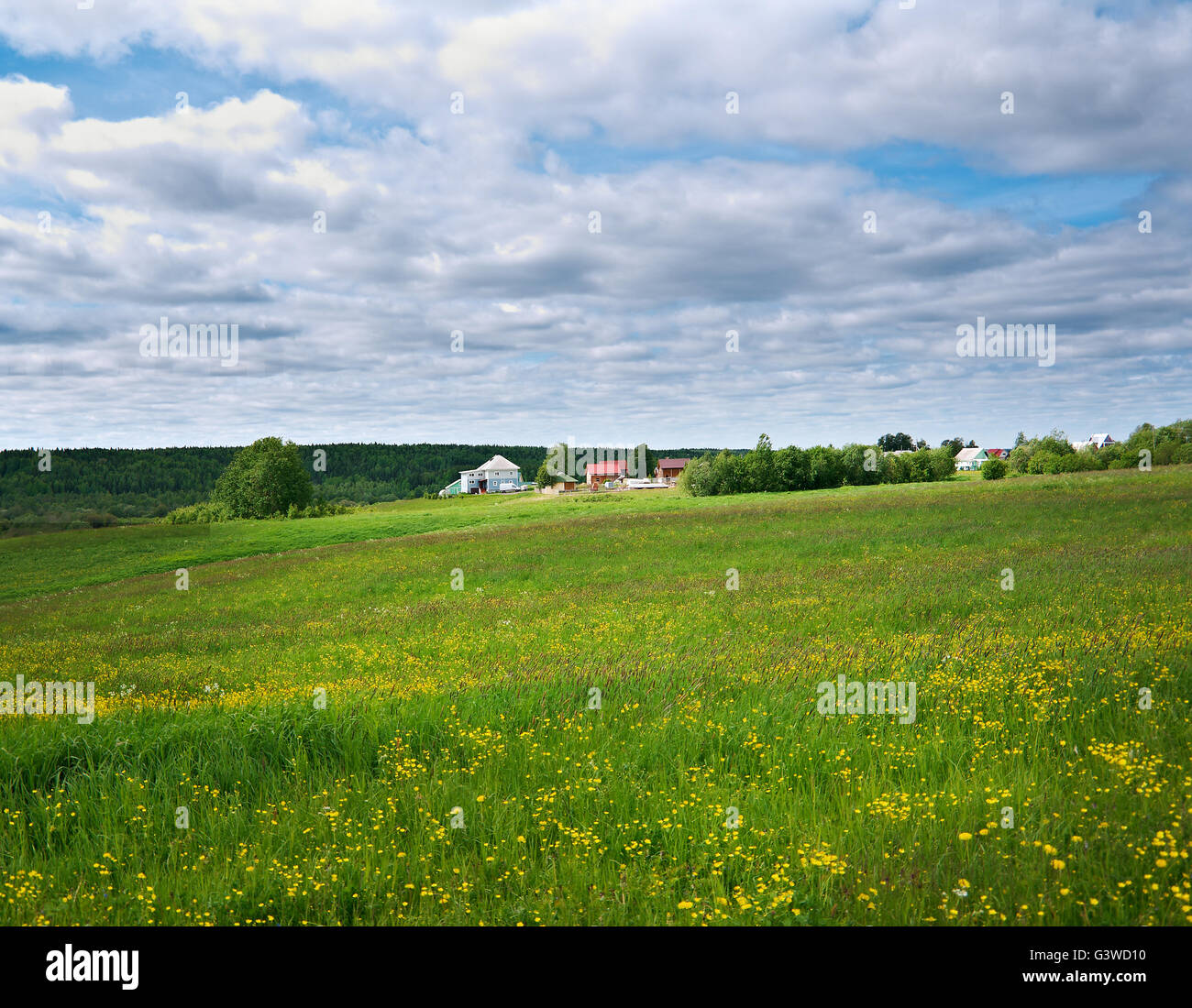 North Russian village.Arkhangelsk region .Russian North. Stock Photo