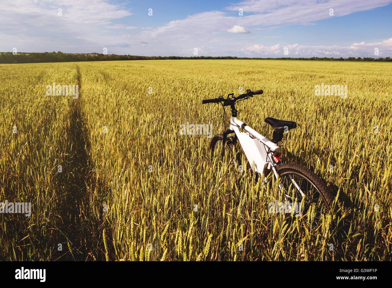 Summer outdoor photo e-bike in gold wheat field Stock Photo