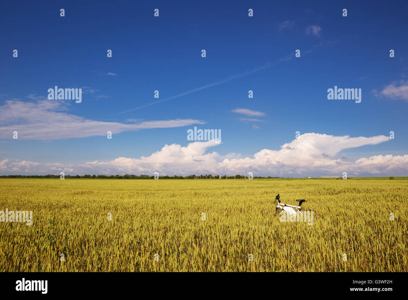 Summer outdoor photo e-bike in gold wheat field Stock Photo