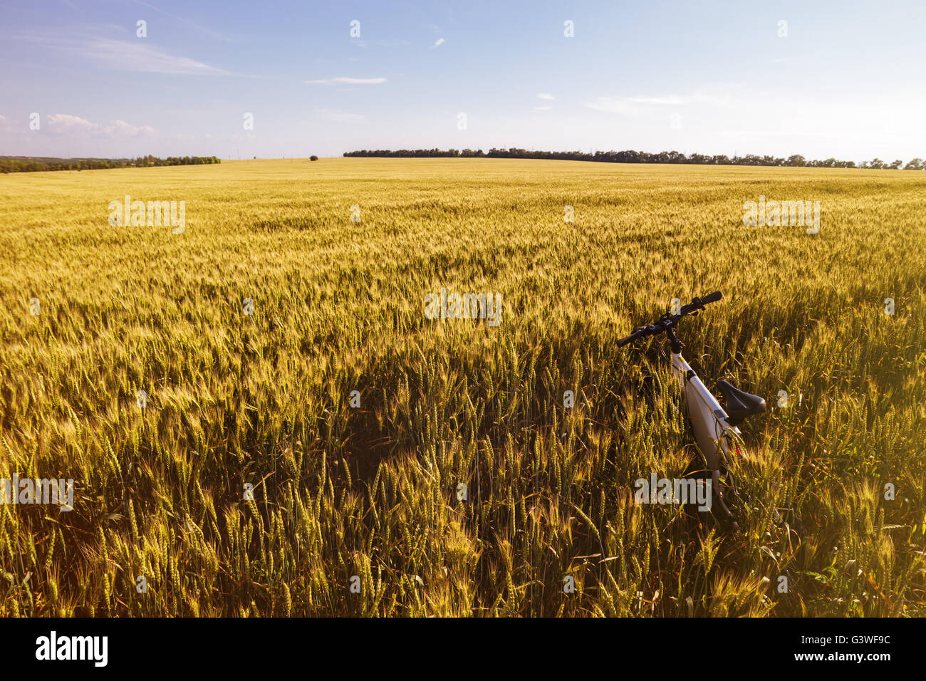 Summer outdoor photo e-bike in gold wheat field Stock Photo