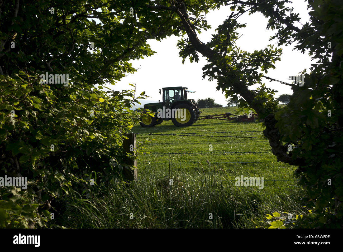 Northern Irish farmer farming on tractor Stock Photo