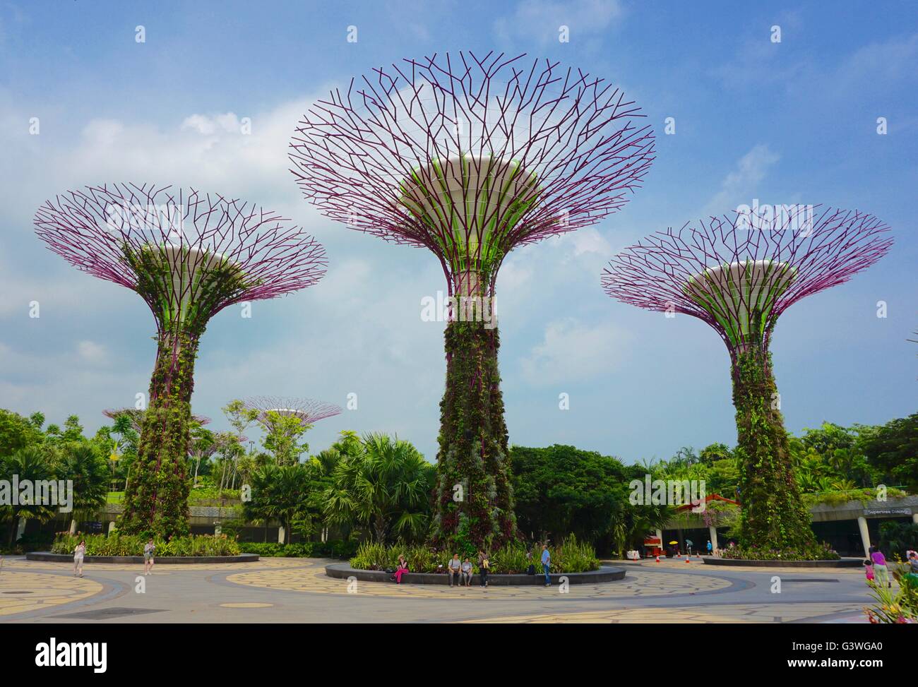 Manmade trees hires stock photography and images Alamy