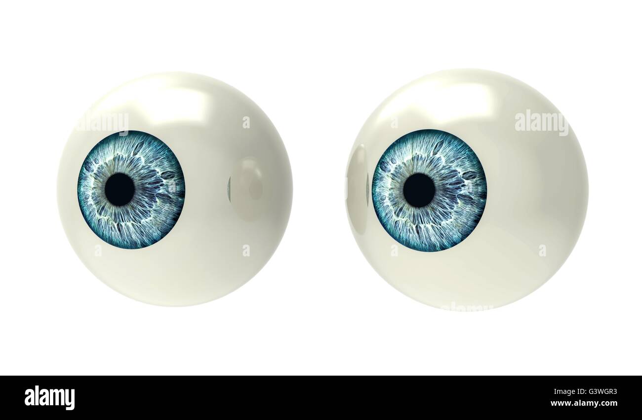 two eyeballs isolated on white back ground Stock Photo