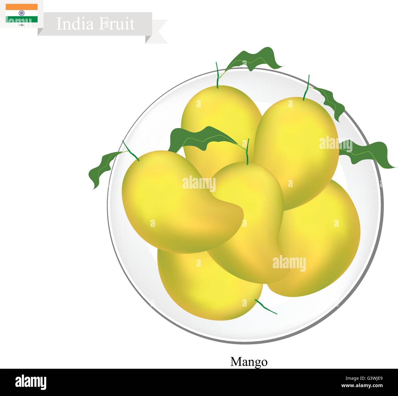 Indian Fruit, Illustration of Mango. One of The Most Popular Fruits in