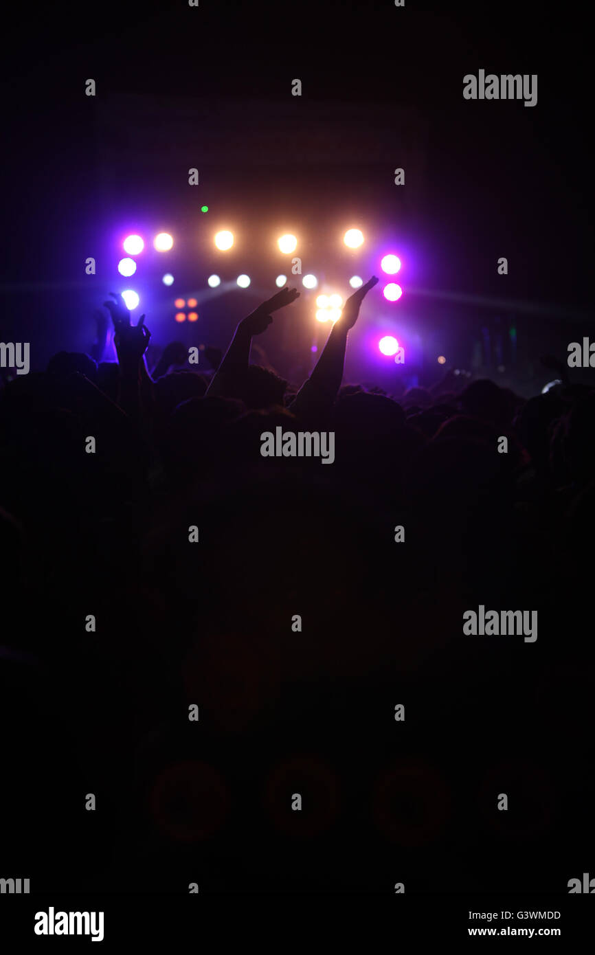 People dancing in front of a stage during a musical concert in India. Stock Photo