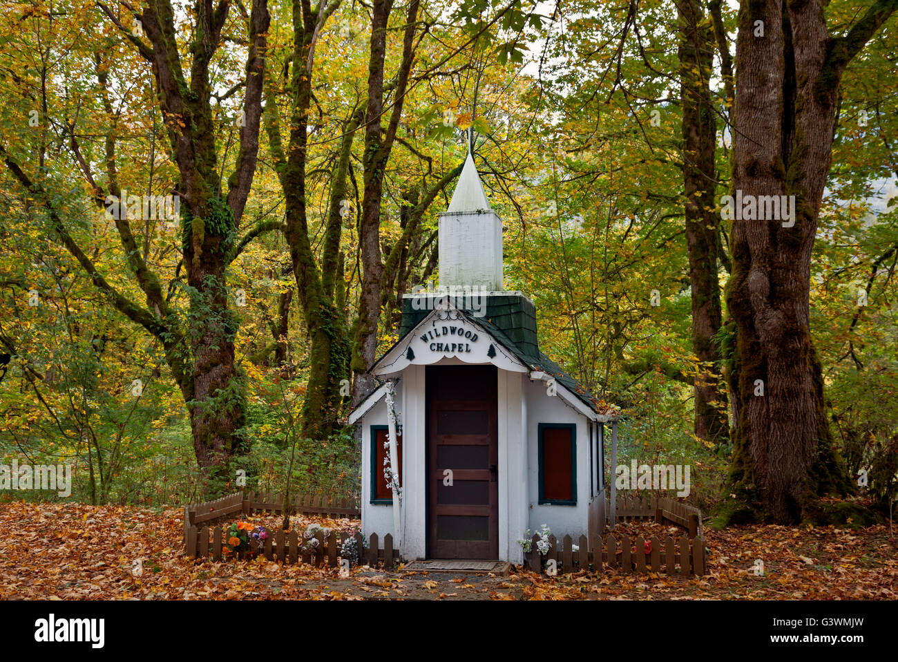 WASHINGTON - Wildwood Chapel, a small roadside place of worship among the moss-covered trees along US Highway 20 at Marblemount. Stock Photo