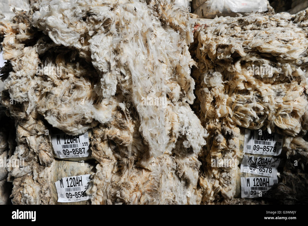 URUGUAY Verarbeitung von Merino Schafswolle bei Lanas Trinidad S.A. , Anlieferung und Sortierung der Wolle /  URUGUAY city Trinidad, company Lanas Trinidad  S.A. processing of Merino sheep wool Stock Photo