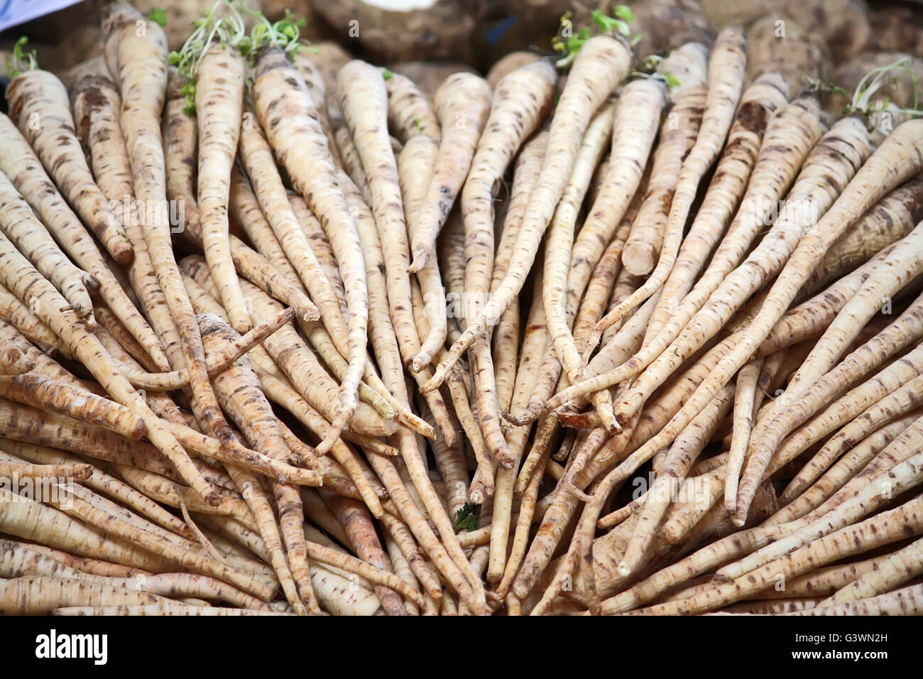 Fresh Parsnip on the market Stock Photo