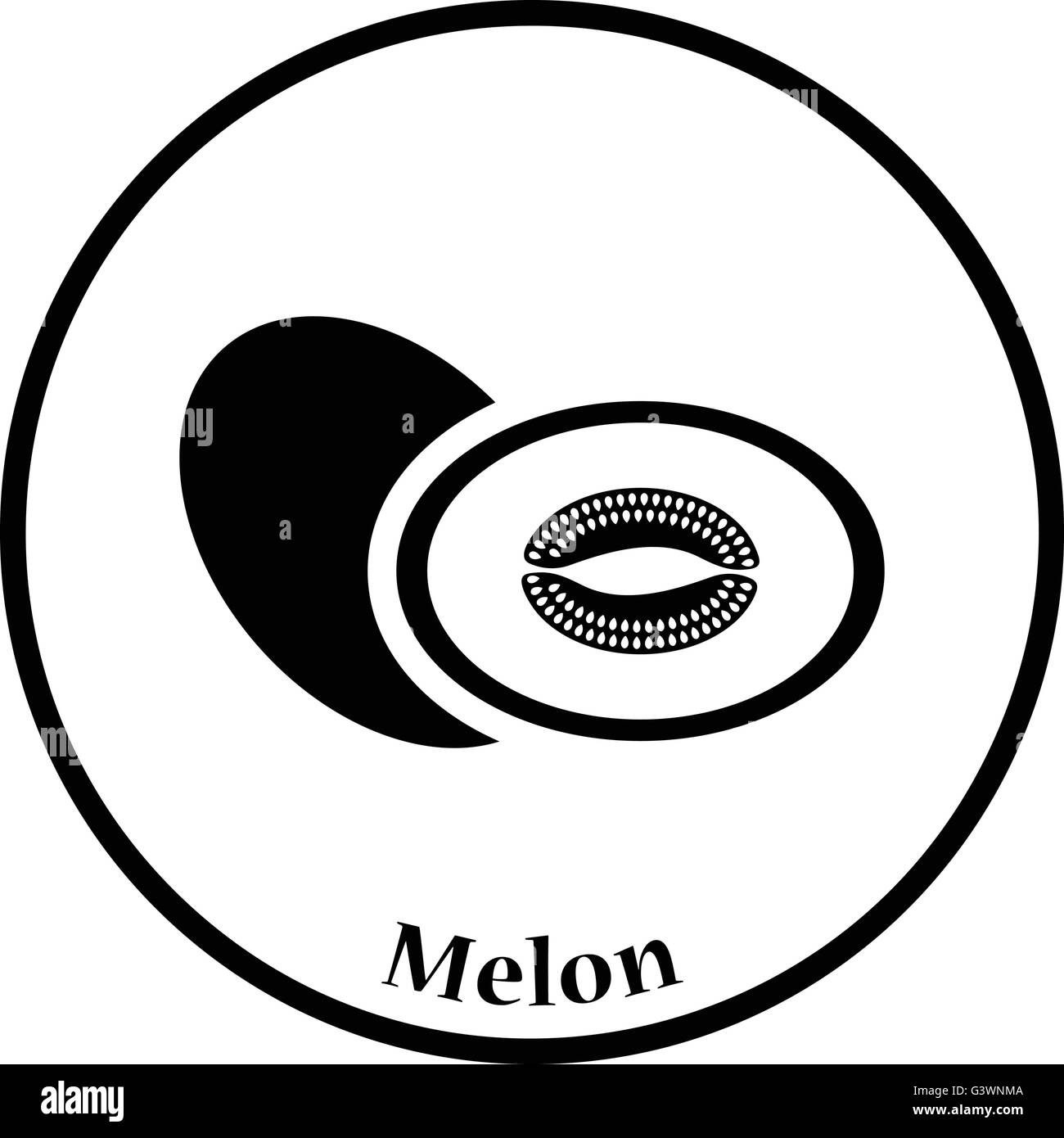 Icon of Melon. Thin circle design. Vector illustration. Stock Vector