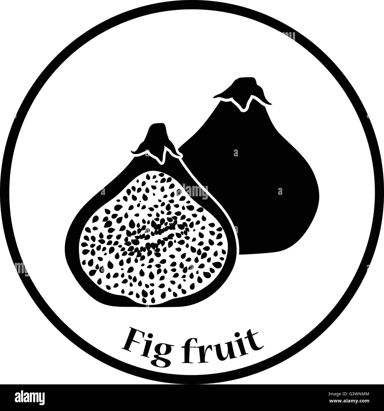 Icon of Fig fruit. Thin circle design. Vector illustration. Stock Vector