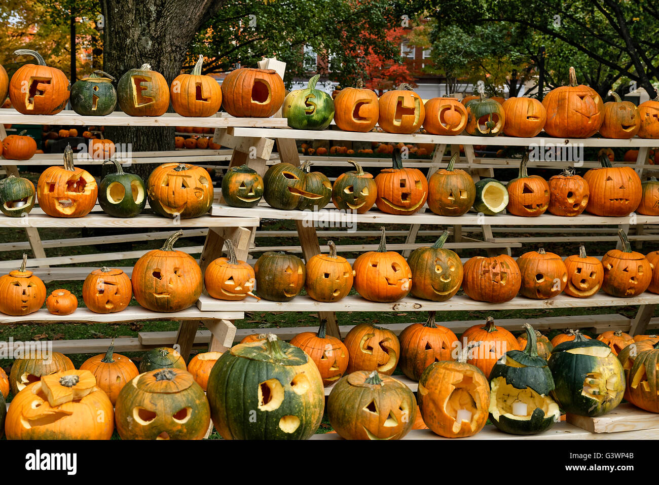 Pumpkin festival, Keene, Cheshire County, New Hampshire, USA Stock