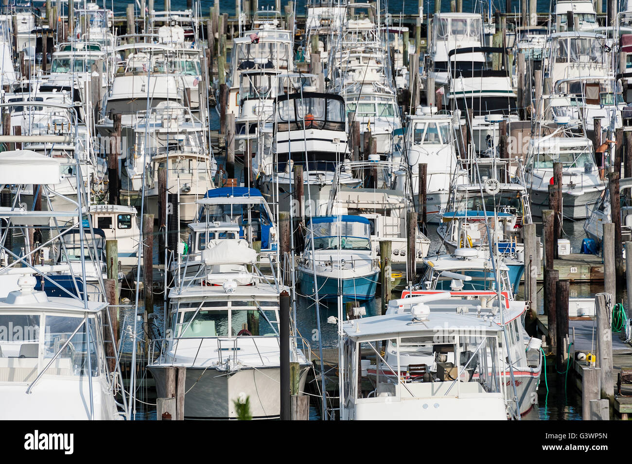 Boats docked in marina, Cape May, New Jersey, USA Stock Photo