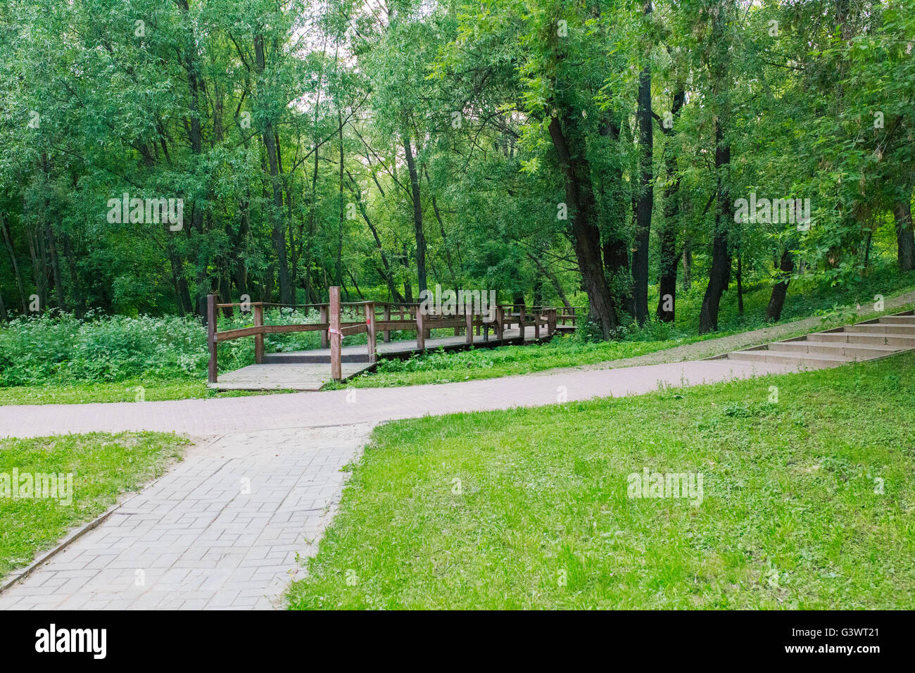 solar path in summer Park Stock Photo