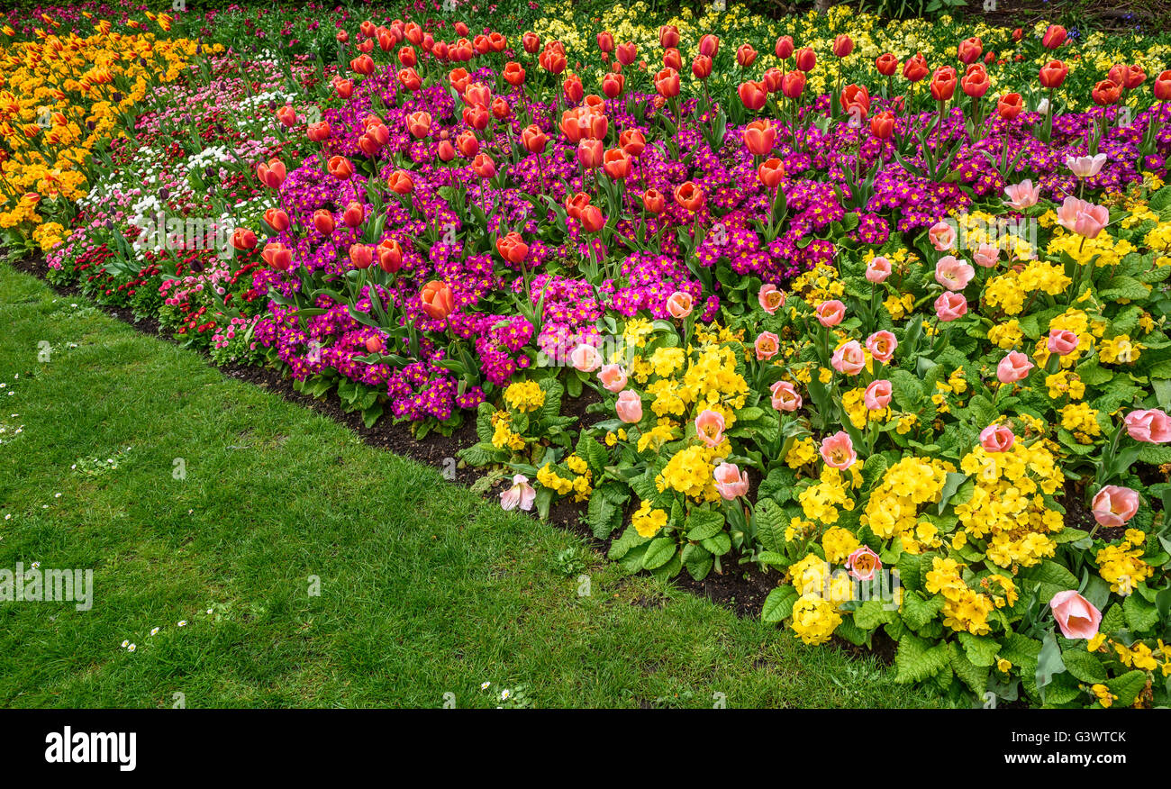 A formal garden border of Spring flowers at St James's park, London 2016. Stock Photo