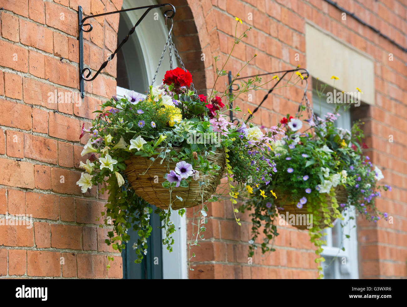 Hanging baskets either side of a red brick cottage door. Ashton Under