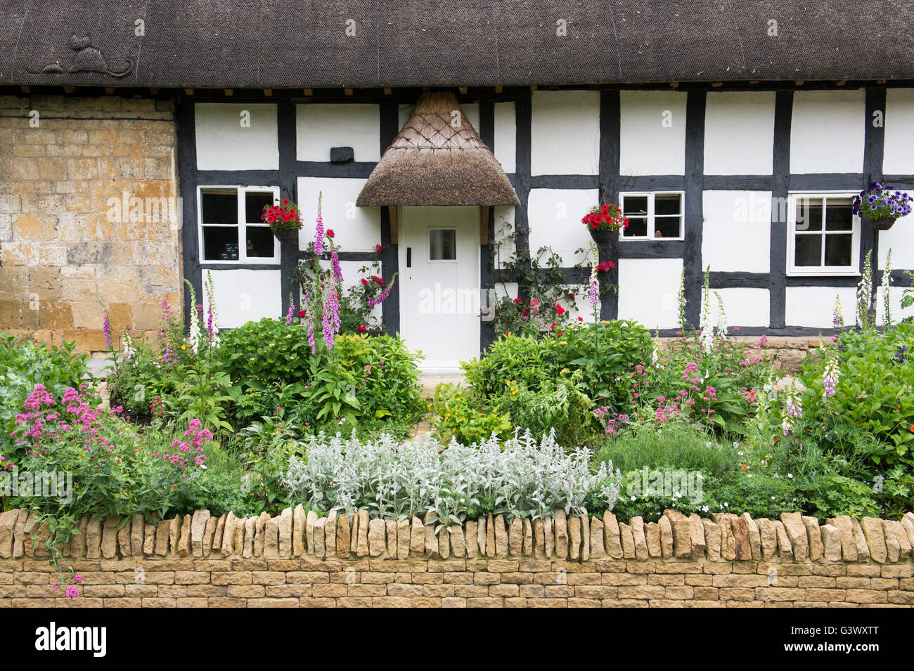 Thatched black and white timber framed cottage and garden. Ashton Under Hill, Wychavon district, Worcestershire, UK Stock Photo