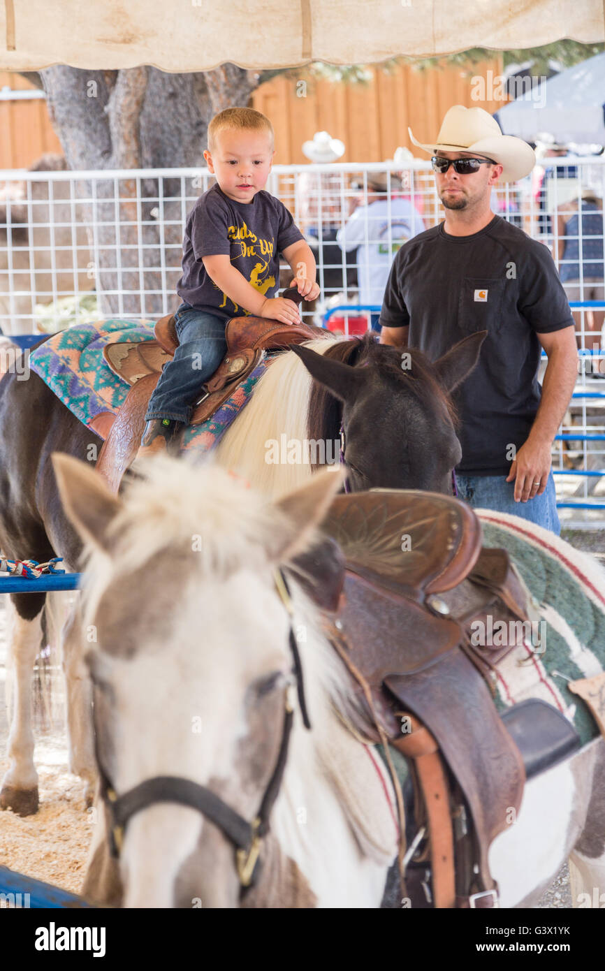 A young boy rides a pony under the watchful eye of his father during Cheyenne Frontier Days July 25, 2015 in Cheyenne, Wyoming. Frontier Days celebrates the cowboy traditions of the west with a rodeo, parade and fair. Stock Photo