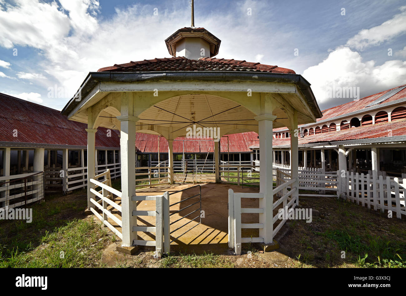 Glen Innes showground historic timber sheep pen display Stock Photo Alamy
