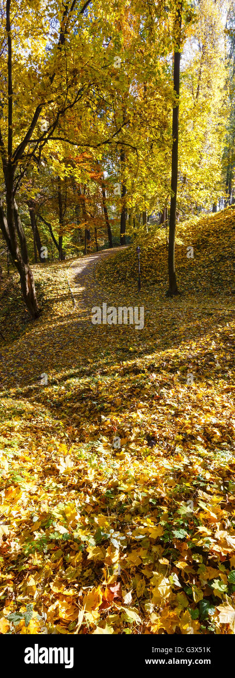 Golden carpet of autumn leaves with shadow of small hill in city park. Stock Photo