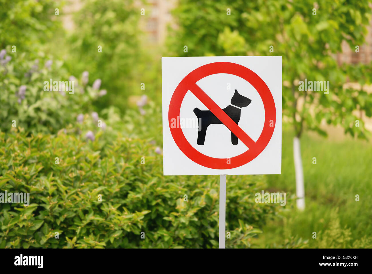 No dogs allowed sign in the park Stock Photo
