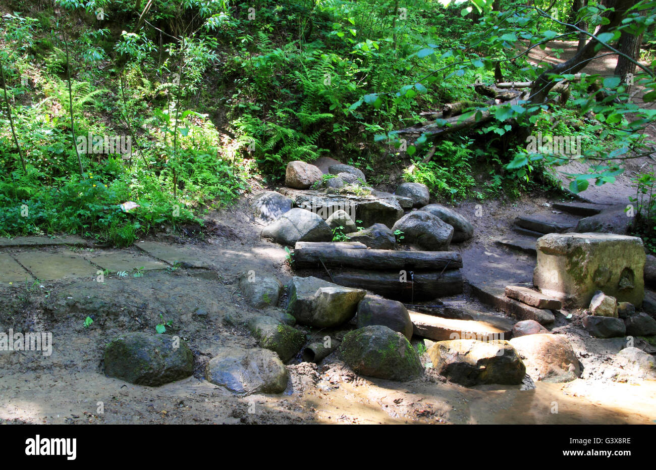 The source of the river among the rocks in the forest Stock Photo - Alamy