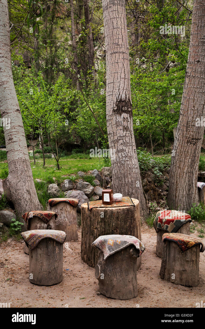 Tree trunks and picnic table, Turkey Stock Photo