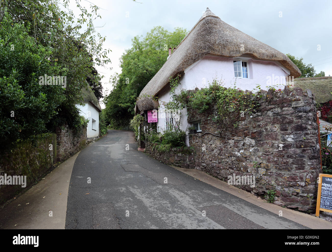 A thatched house converted into a tea room in the picturesque village of Cockington, Devon, England, UK Stock Photo