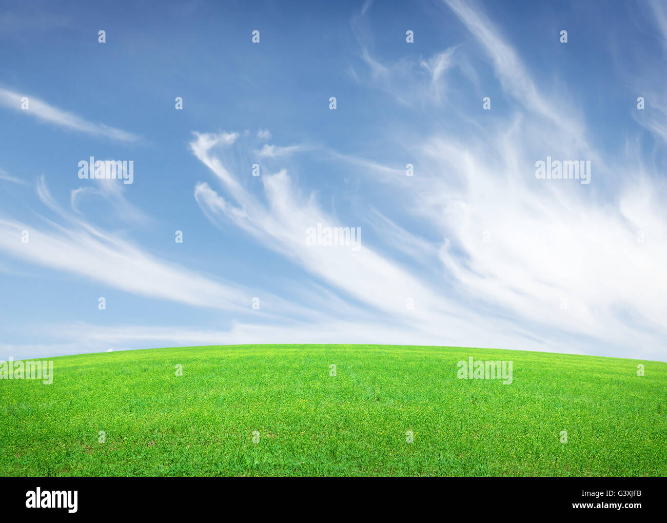 Green grass field and blue sky with clouds background Stock Photo - Alamy