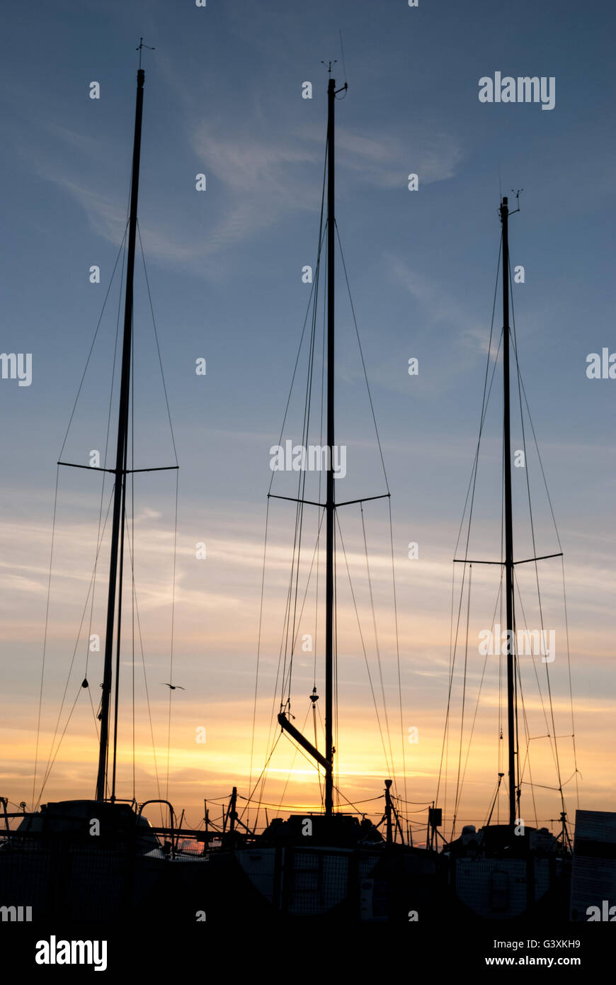 Three boat masts as silhouette with sunrise sky Stock Photo - Alamy