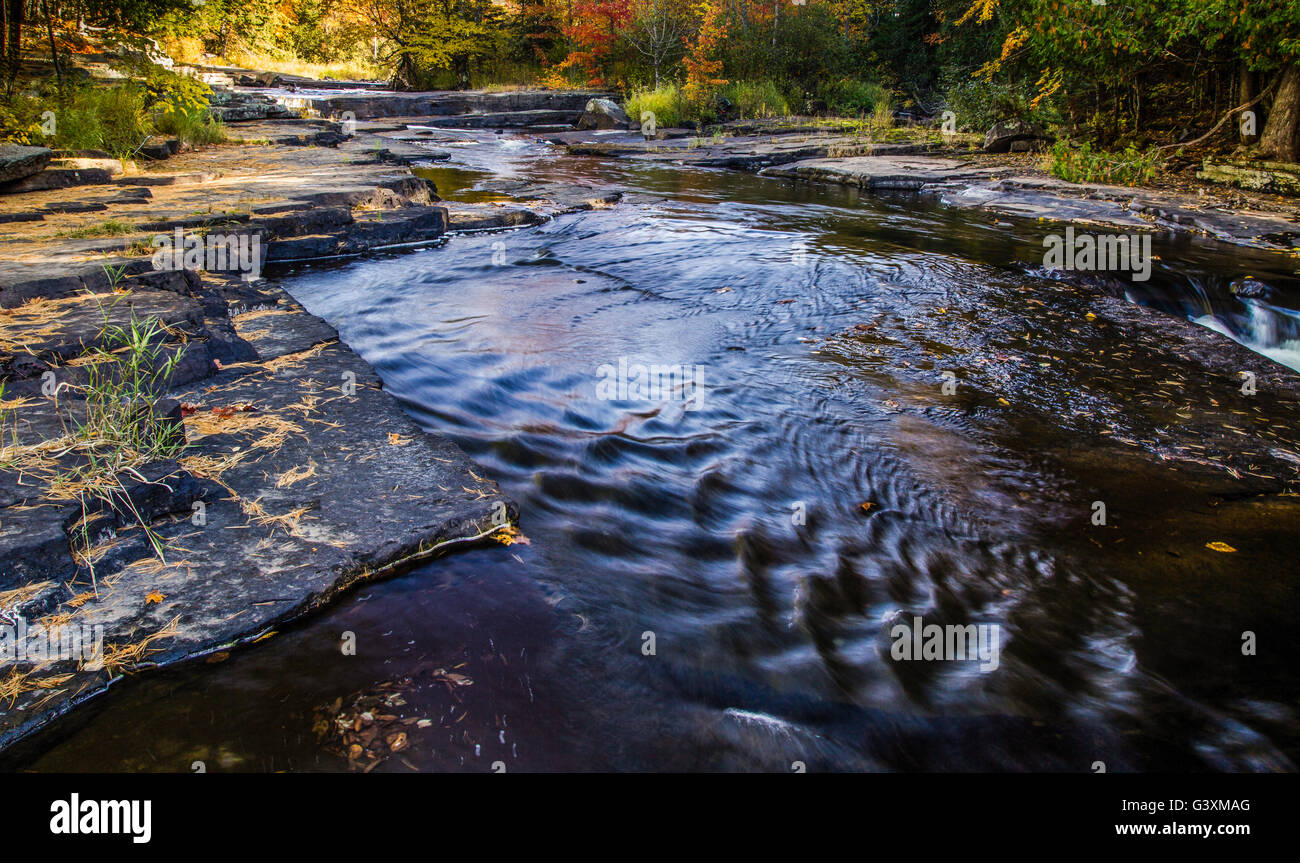 Sturgeon falls hires stock photography and images Alamy