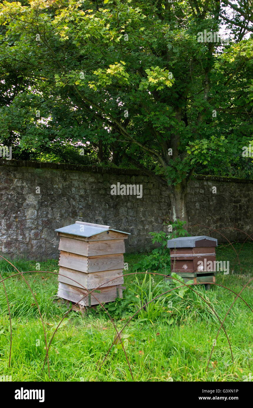 Bee hives in orchard hi-res stock photography and images - Alamy