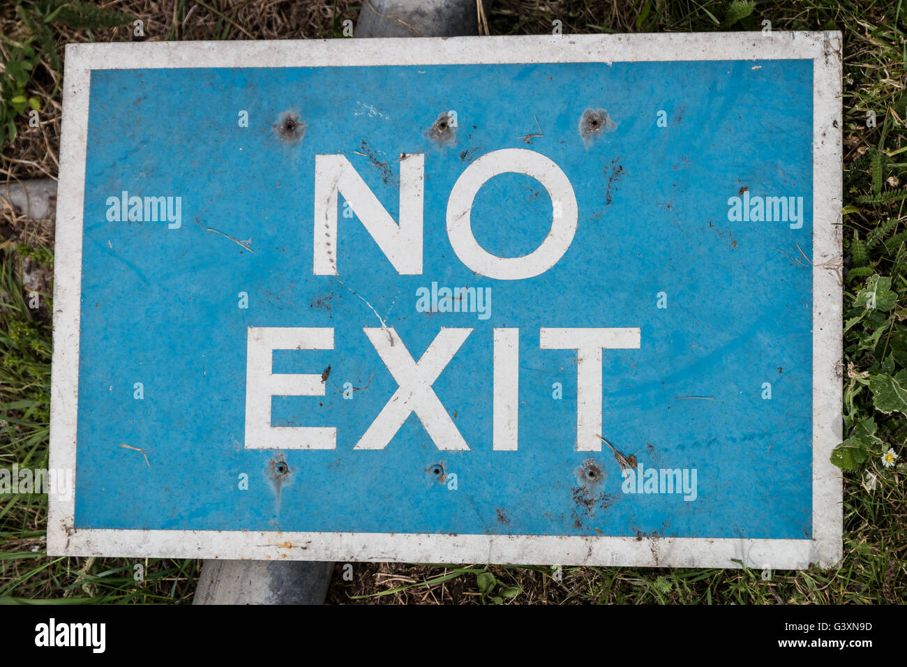 A broken 'No exit' sign lying on some grass. Stock Photo