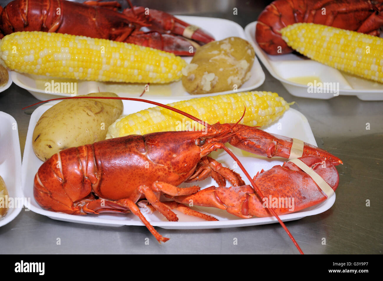 Steamed lobster dinner with potato and corn on the cob Stock Photo Alamy