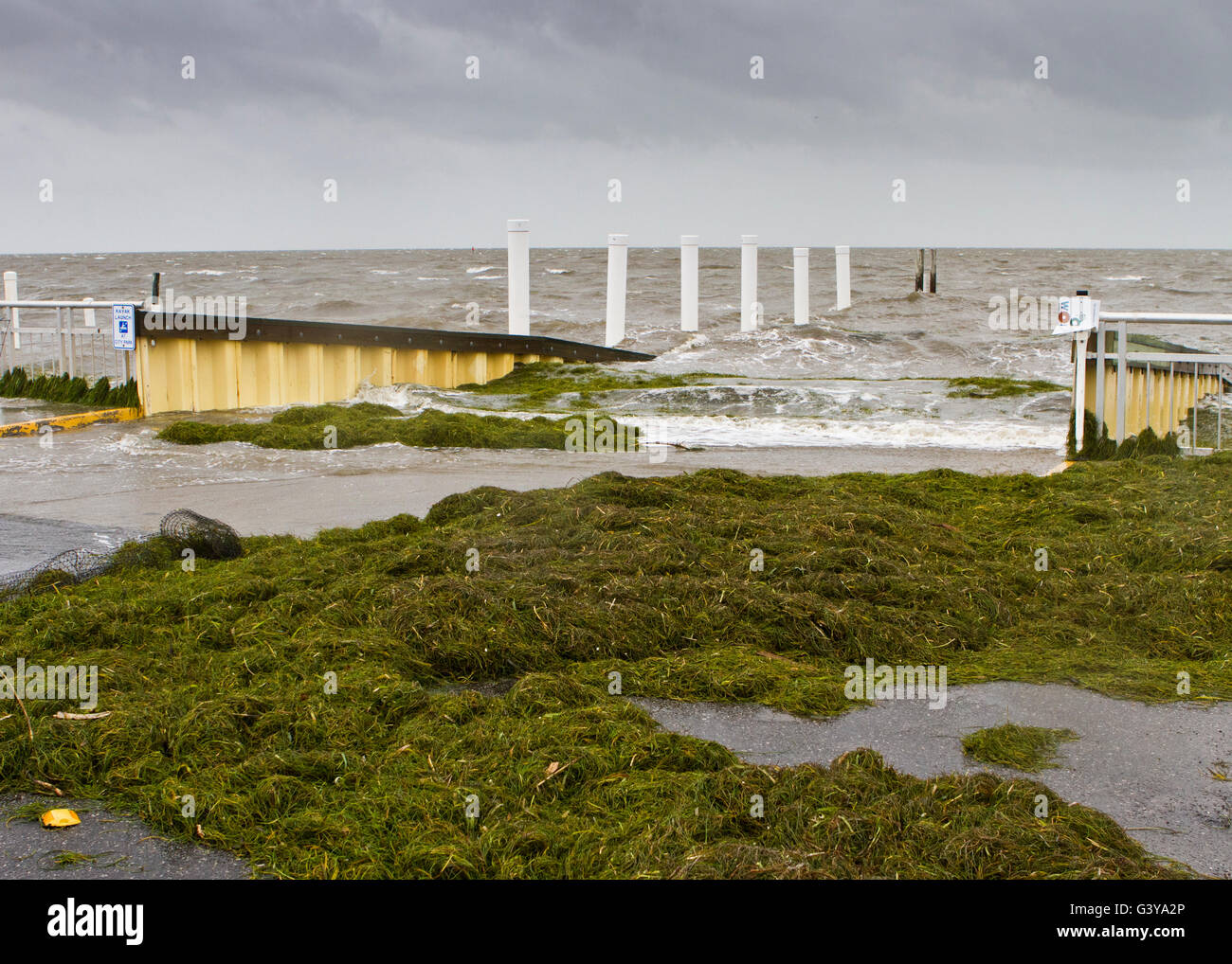 Seaweed and Debris washed ashore and into the Marina during Tropical Storm Colin as is passed through Cedar Key Florida Stock Photo
