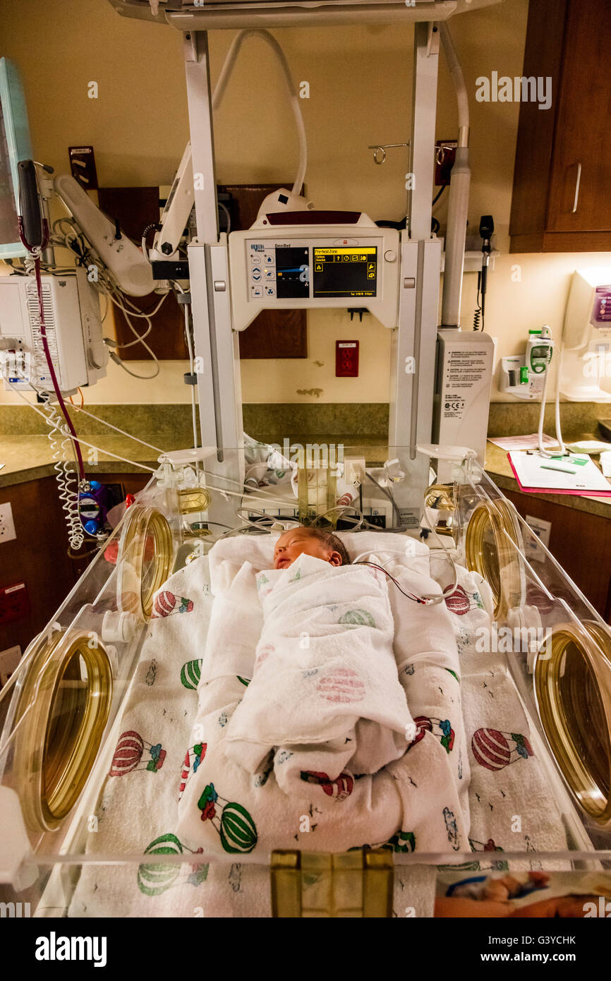 new born baby boy sleeping in incubator in Trios Maternity Hospital, Kennewick, Washington State, USA Stock Photo
