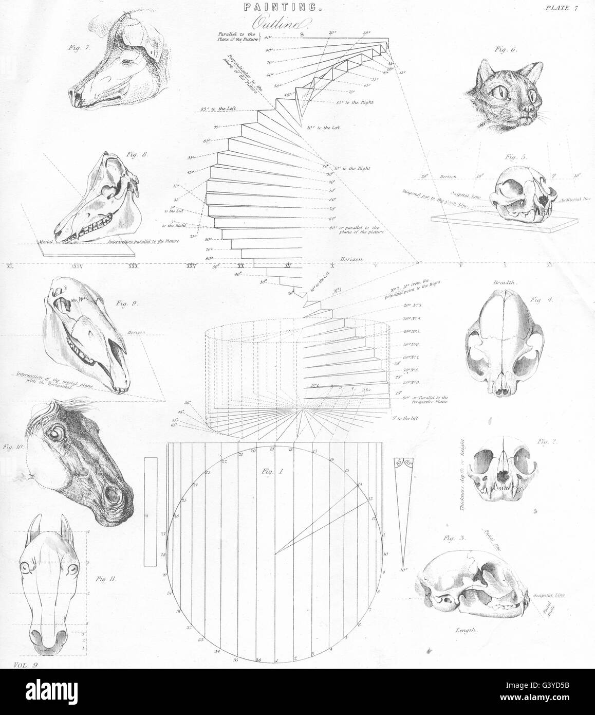 ANIMALS Painting (2) , antique print 1800 Stock Photo Alamy