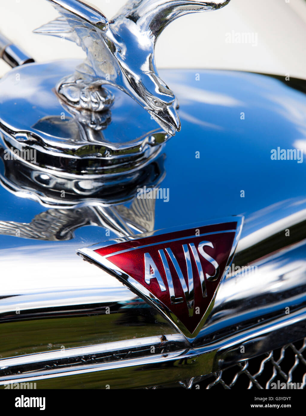 Aug 2013 Hebden Bridge Calder Holmes Park . Classic and Vintage cars Marques and logos and