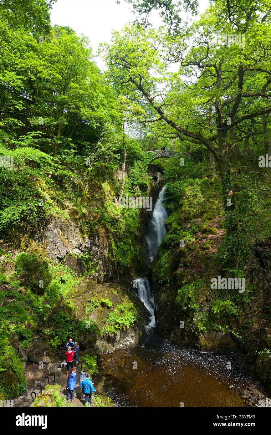Aira Force, Ullswater, Lake District National Park, Cumbria, England, UK, GB,  Europe Stock Photo