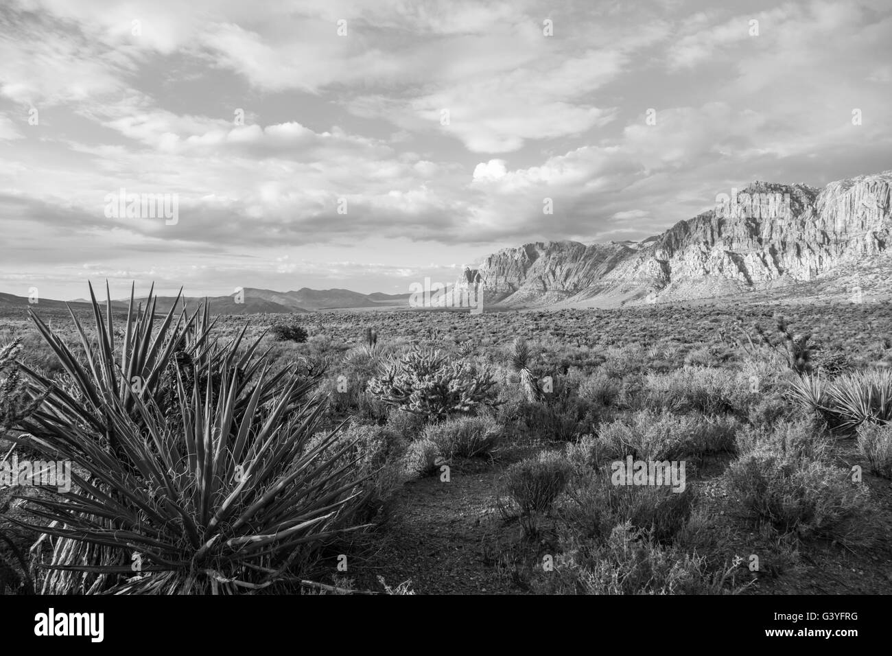 Spring morning in Red Rock Canyon National Conservation area near Las Vegas in black and white. Stock Photo