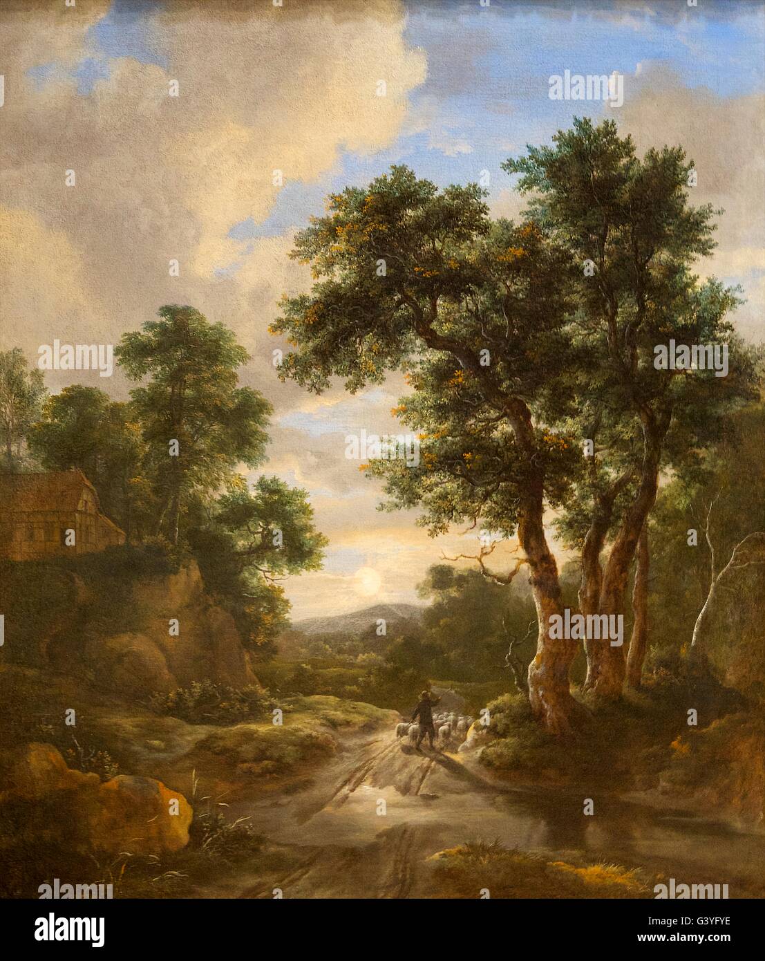 Sunrise in a Wood, by Jacob van Ruisdael, 1670's,  Wallace Collection, London, England, UK, GB Stock Photo