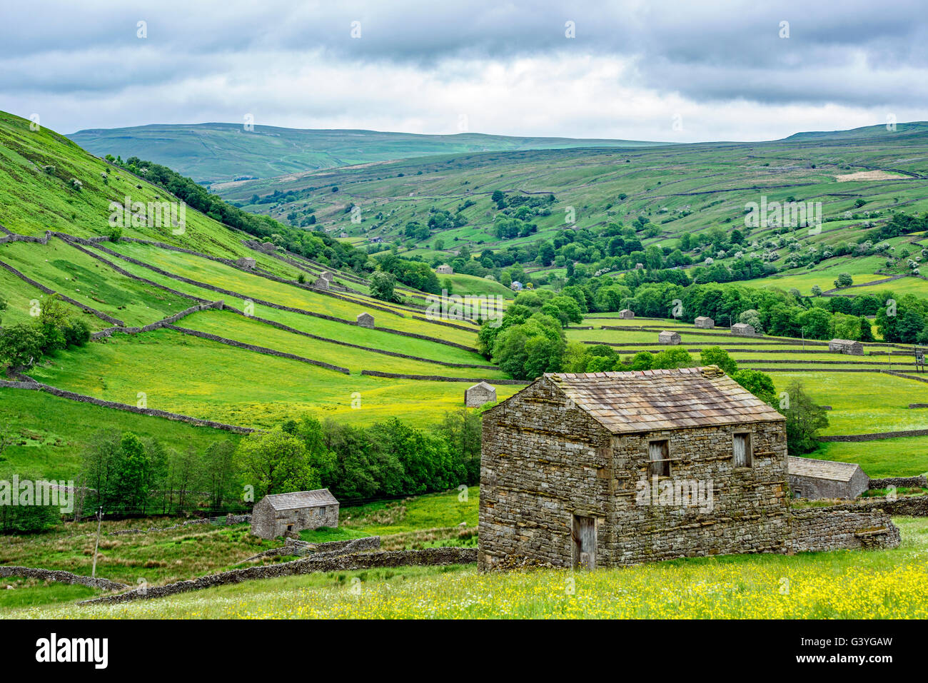 Yorkshire Dales Barns between Thwaite and Angram in Swaledale, Yorkshire Dales National Park Stock Photo