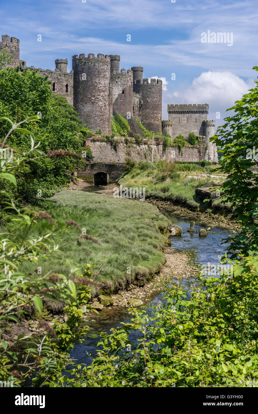 Medieval Conwy Castle Clwyd North Wales on the river Conwy. Conway Stock Photo