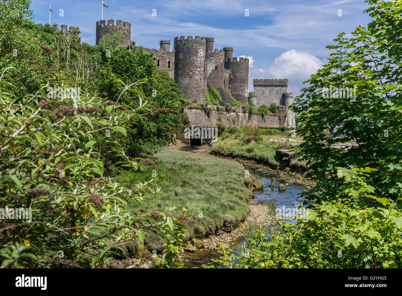 Medieval Conwy Castle Clwyd North Wales on the river Conwy. Conway Stock Photo