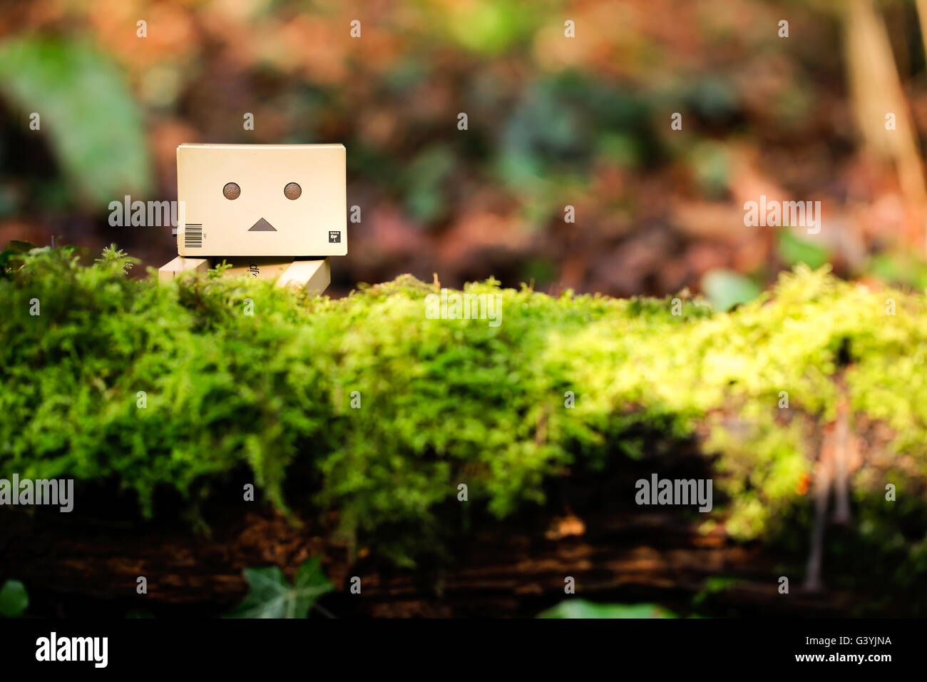 A Danbo Danboard fictional Robot Character hiding amongst undergrowth and lichen in woodland Stock Photo