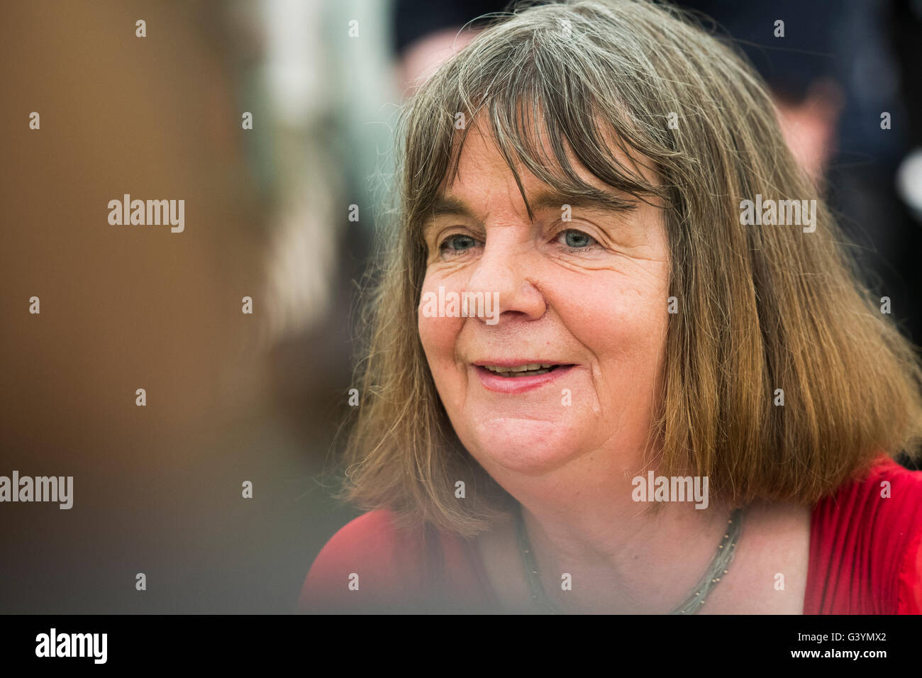 Julia Donaldson, English writer, playwright and performer, and the 2011–2013 Children's Laureate. Author of 'The Gruffalo' childrens book. The Hay Festival, Saturday 28 May 2016 Stock Photo